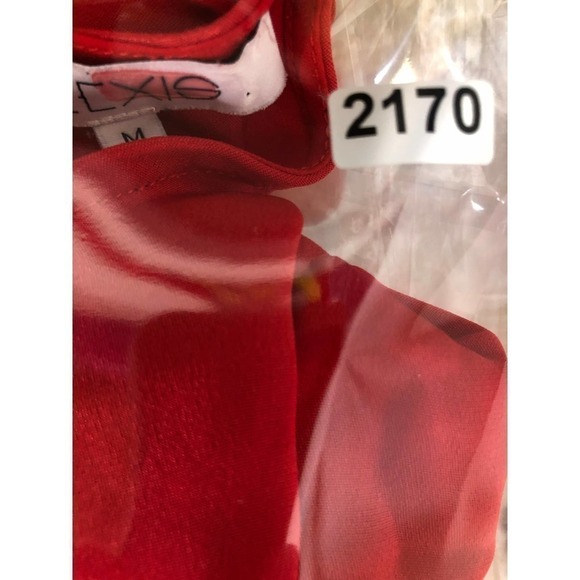 Alexis Hazel Asymmetric Dress Ruffle Trim Bell Sleeve Red M - Picture 12 of 12